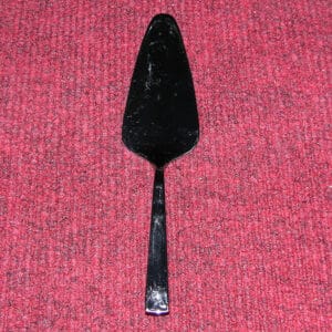 Vlaaischep